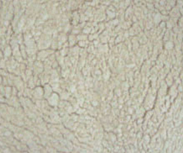 脱腥、脱脂大豆粉